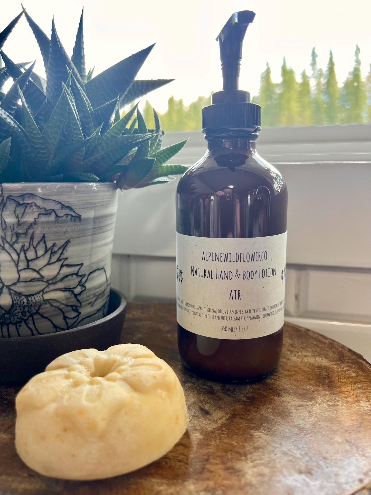 Hand & Body Lotion | Mango & Shea, Hydrating Skincare