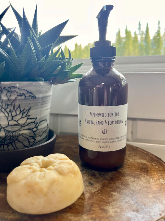 Hand & Body Lotion | Mango & Shea, Hydrating Skincare