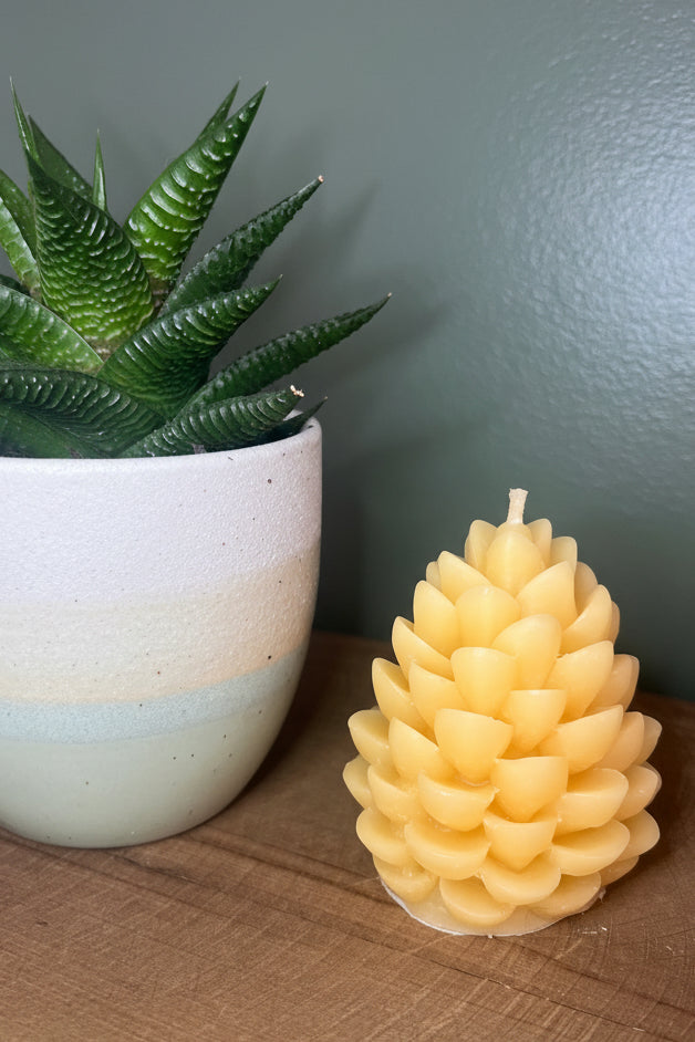 100% Pure Beeswax Candle | Large Pinecone