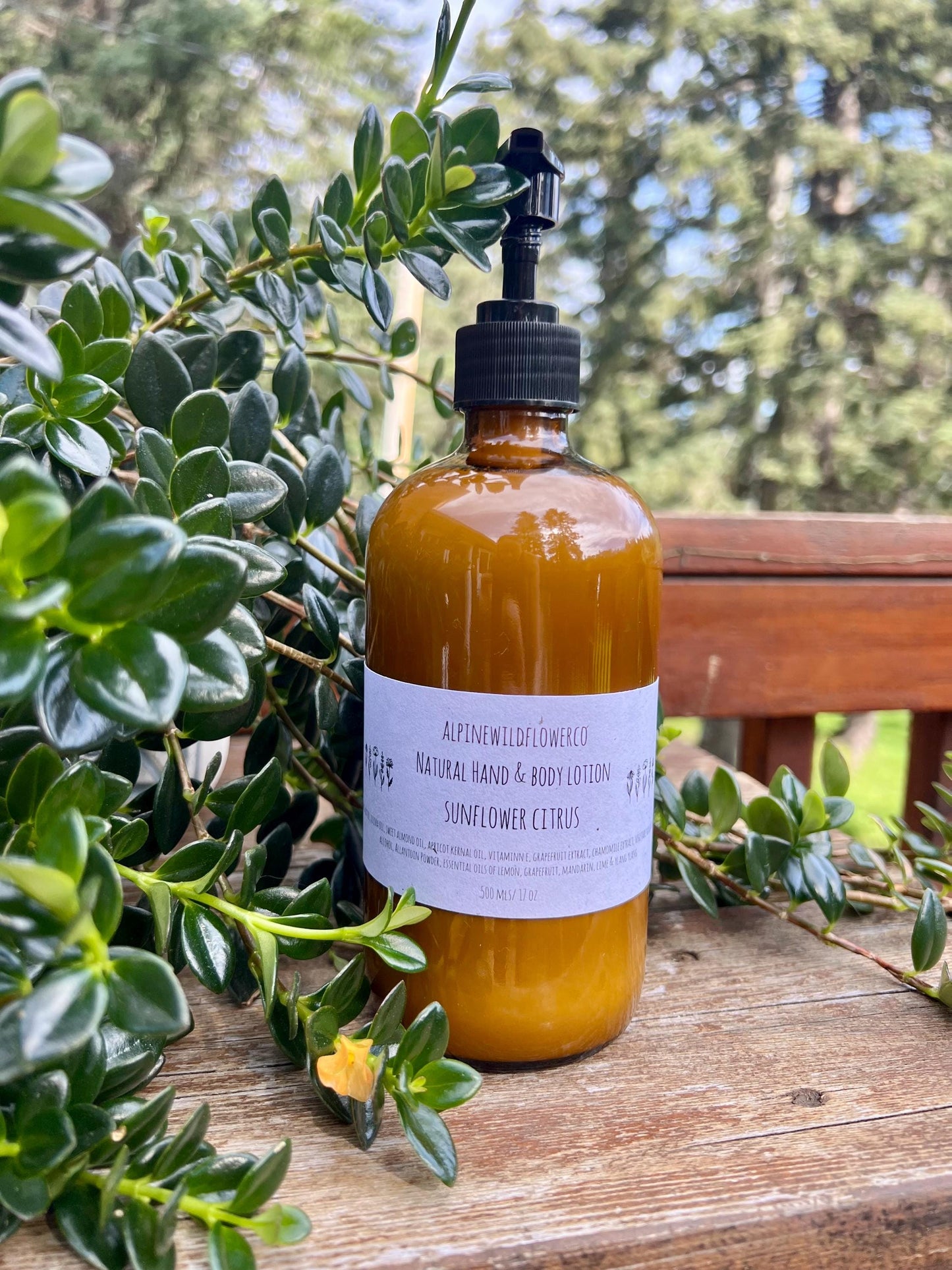 Hand & Body Lotion | Mango & Shea, Hydrating Skincare